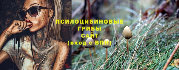 бошки Нефтекумск