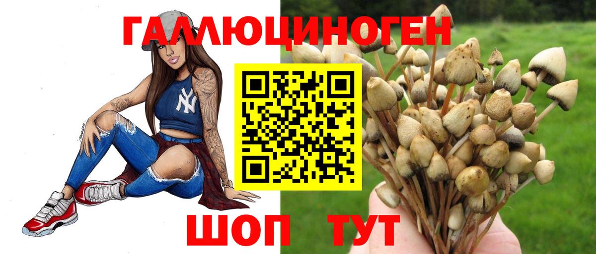 Галлюциногенные грибы Psilocybe Аша