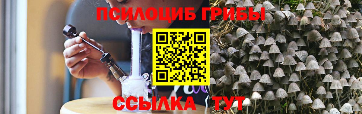 Аша  Псилоцибиновые грибы Psilocybine cubensis  Вход с VPN 