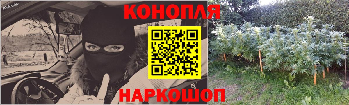 Канабис индика  Аша  Шишки марихуана тримм  Канабис индика  Канабис ГИДРОПОН 